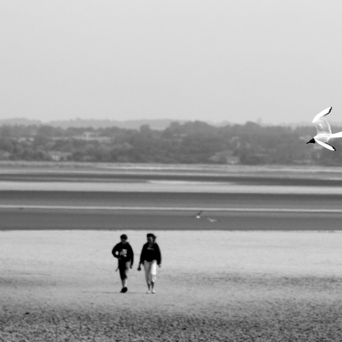 Photo #13897782