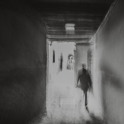 Photo #13897788