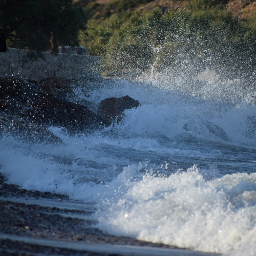 Photo #13897949