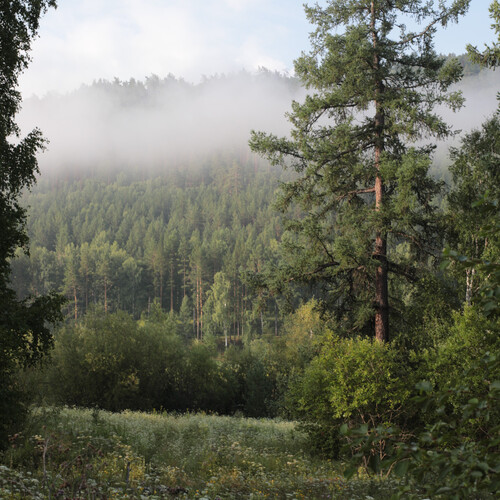 Photo #13898208