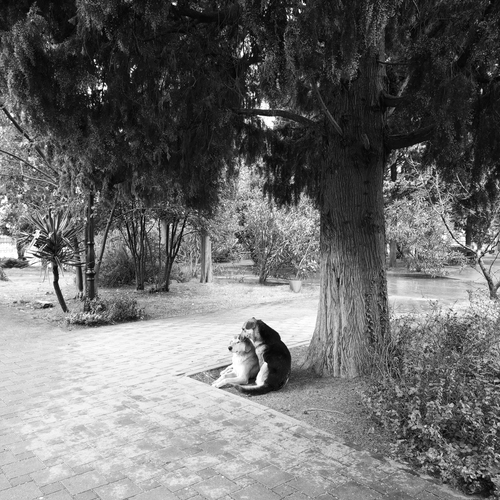 Photo #13898278
