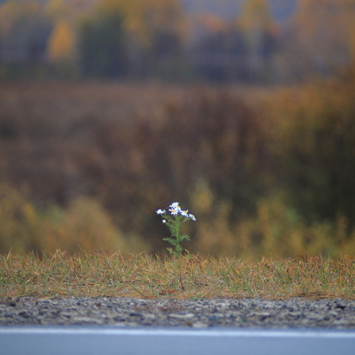 Photo #13898302