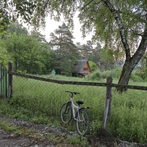 Photo #13898353