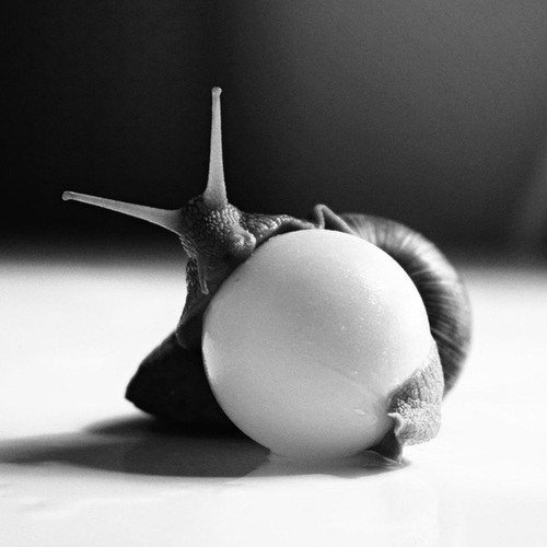Photo #13898369