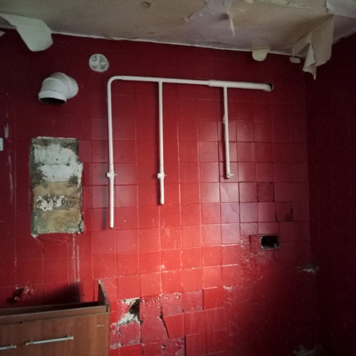 Photo #13898436
