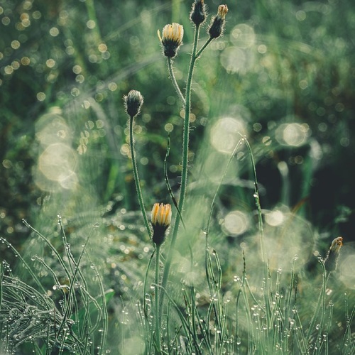 Photo #13898504