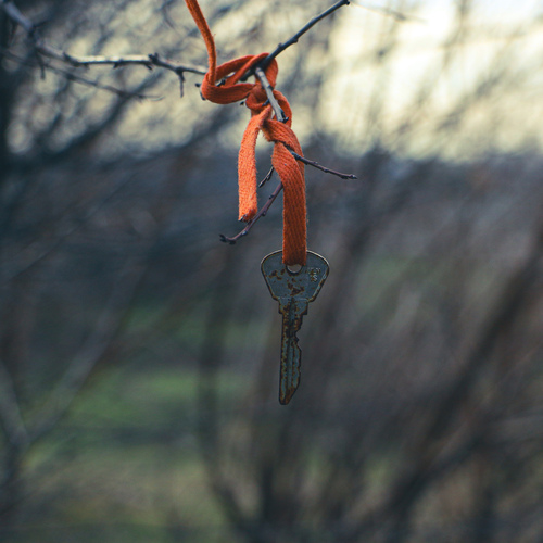 Photo #13898780