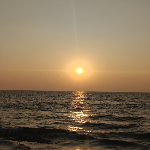 Photo #13898822