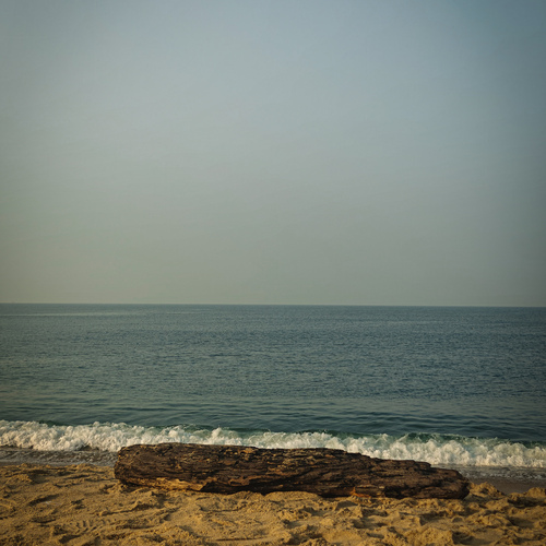 Photo #13898823