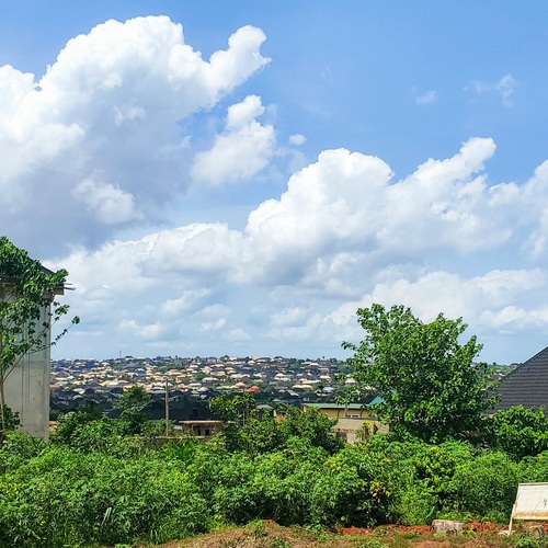 Divine View
