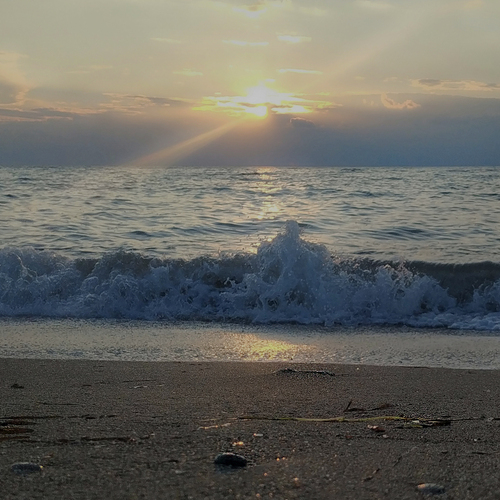 Photo #13898843