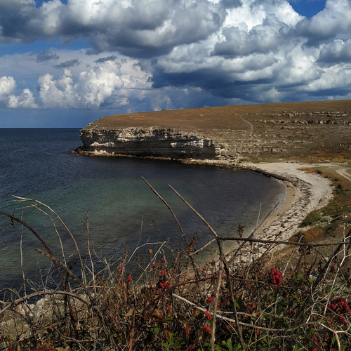 Photo #13898844