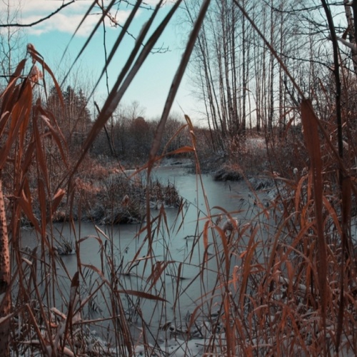 Photo #13898943
