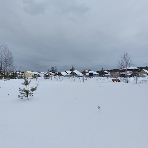 Photo #13898952