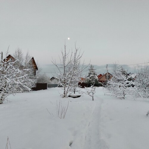 Photo #13898953