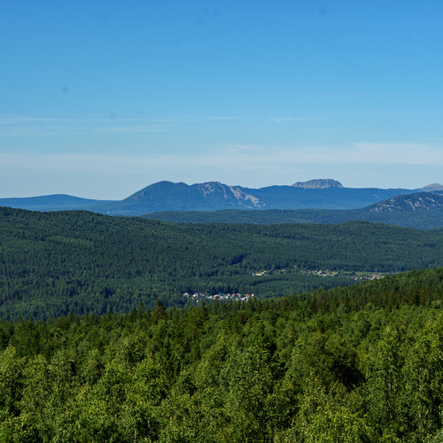 Photo #13899037