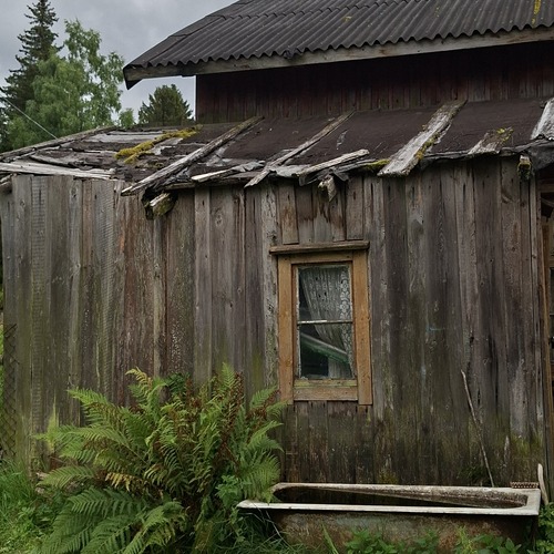 Photo #13899048