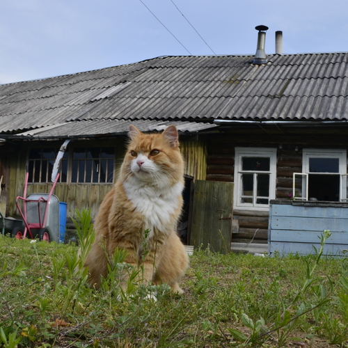 Photo #13899099