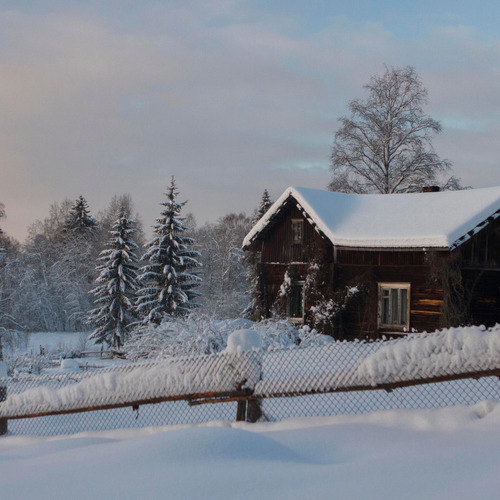 Photo #13899113