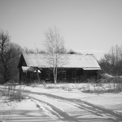 Photo #13899164