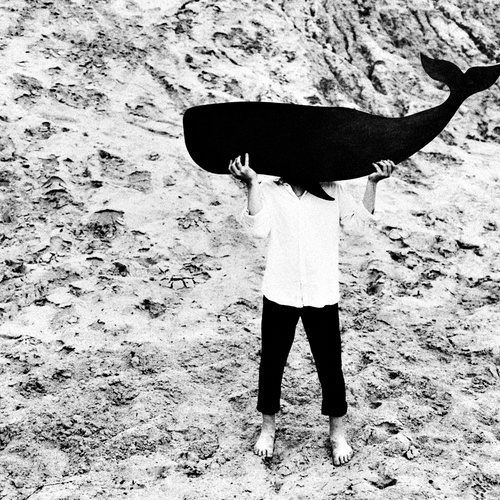 Photo #13899200