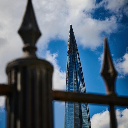 Photo #13899309