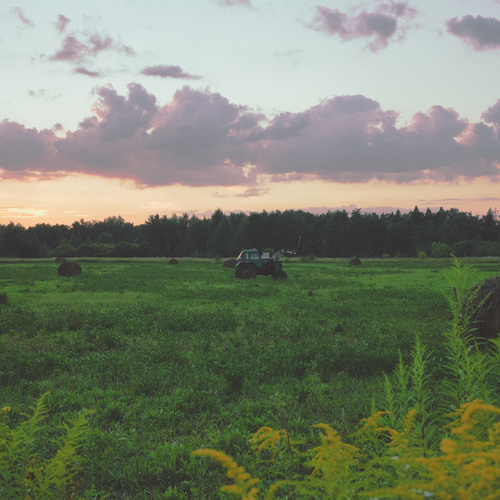 Photo #13899338