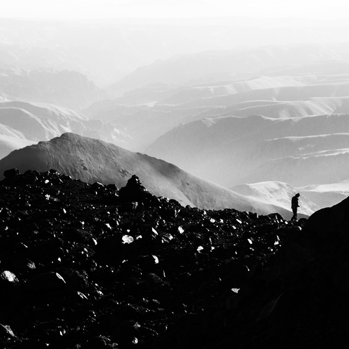 Photo #13899391