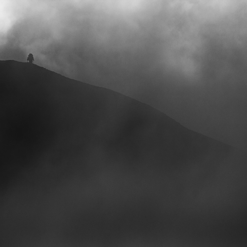 Photo #13899398