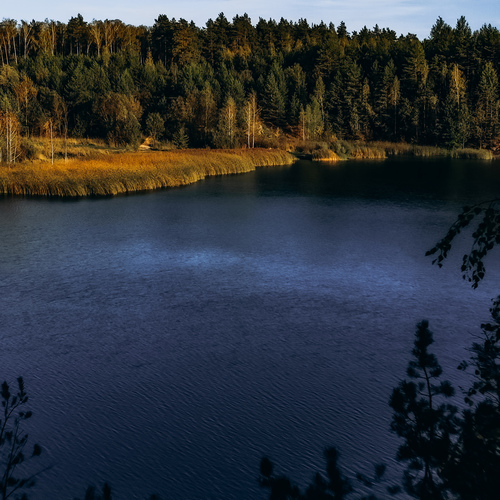 Photo #13899408