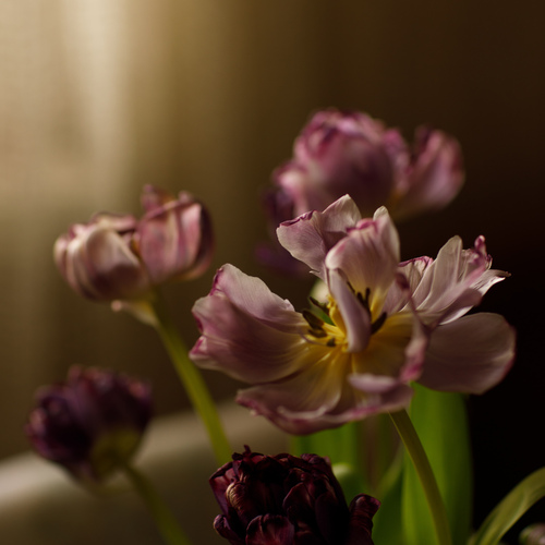 Photo #13899546