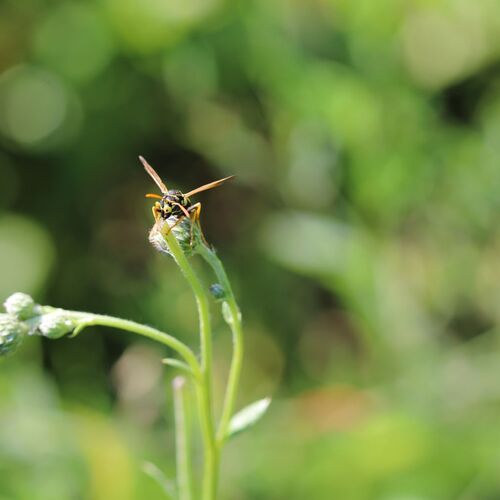 Photo #13899581