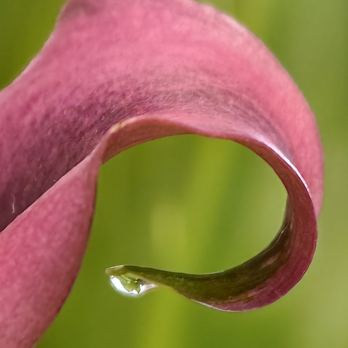 Фотография #13899602