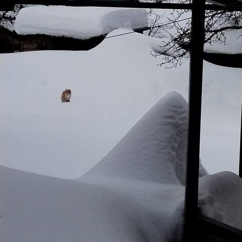Photo #13899619