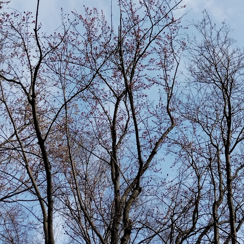 Photo #13899632