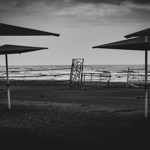 Photo #13899662