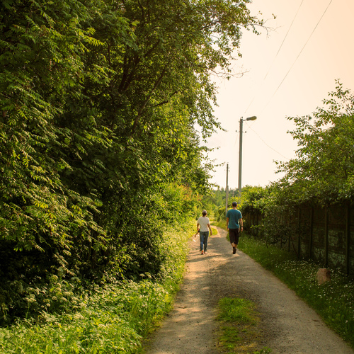 Photo #13899682