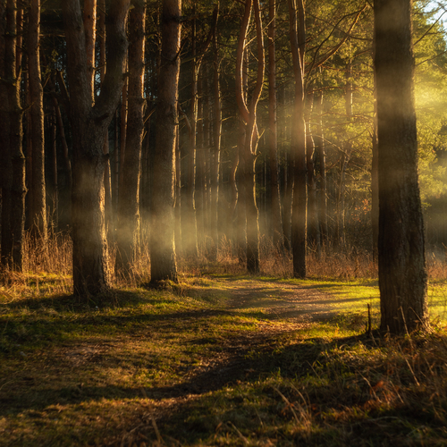 Photo #13899684