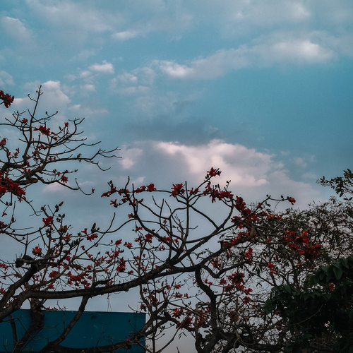 Photo #13899869