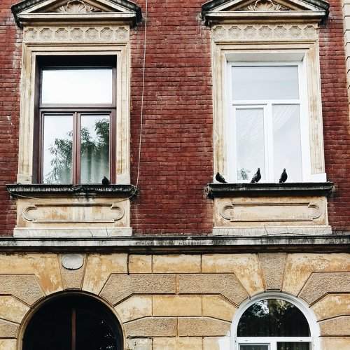 Photo #1390223