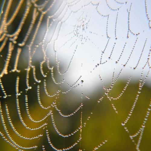 Photo #1393235