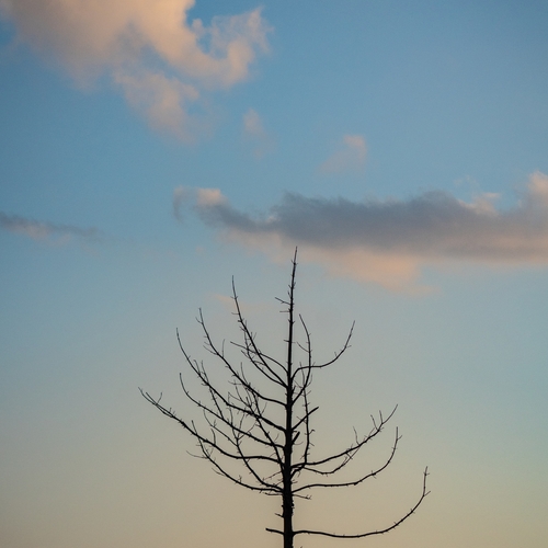 Photo #13900000