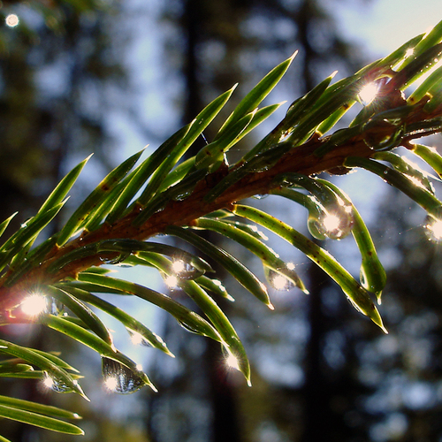 Photo #13900022