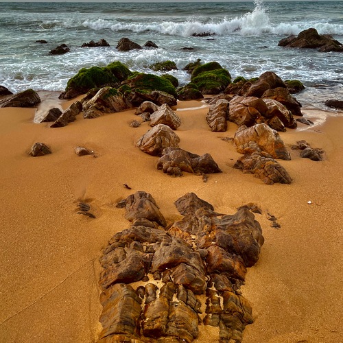 Photo #13900125