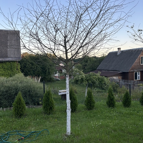 Photo #13900170