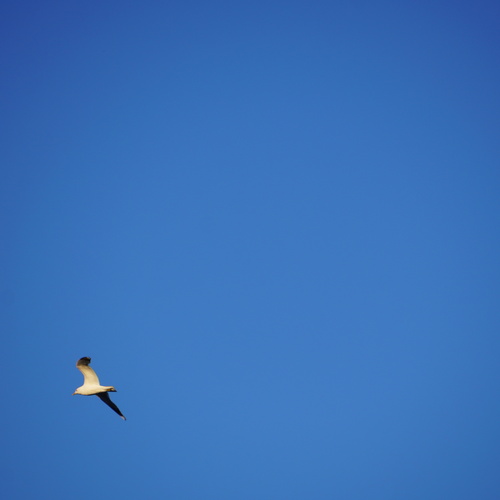 Photo #13900202
