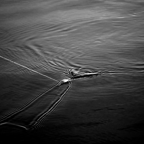 Photo #13900207