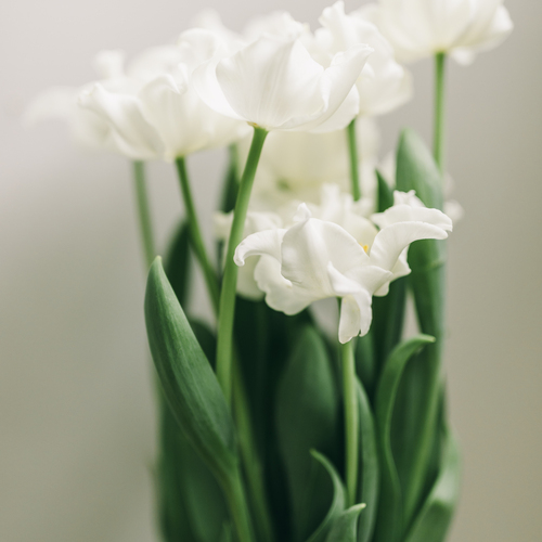 Photo #13900233