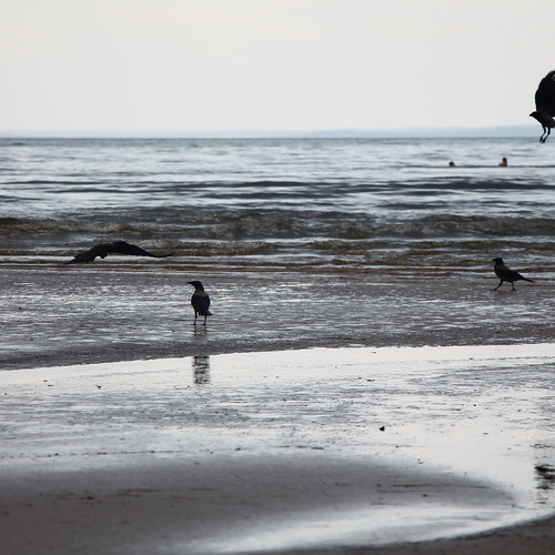 Photo #13900274