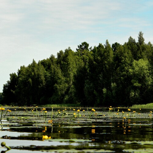 Photo #13900402